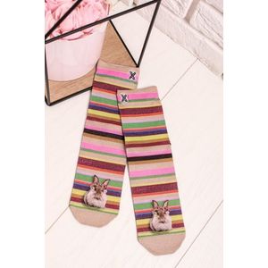 Dámské vícebarevné pruhované ponožky Monday obraz