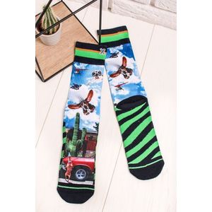 Pánské vícebarevné vzorované ponožky Who's First obraz