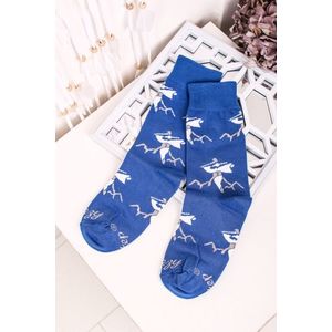 Modro-bílé ponožky Zbojník obraz