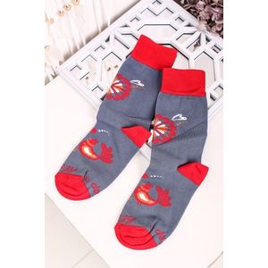 Červeno-šedé ponožky Folk Zamilované Ptáčci obraz