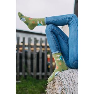 Vícebarevné vzorované ponožky Stěhovaví ptáci obraz