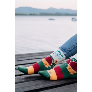 Vícebarevné vzorované ponožky Naša krajina obraz