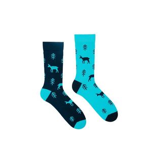Modré vzorované ponožky Chamois obraz