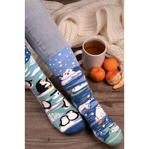 Modré ponožky Penguins & Polar Bears obraz