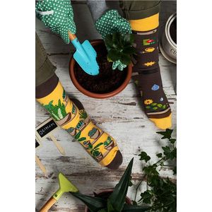 Hnědo-žluté ponožky Gardening obraz