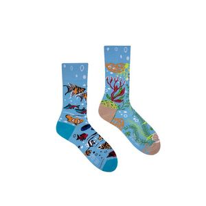 Modré ponožky Aquarium obraz