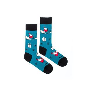 Modré ponožky Santa in Action obraz