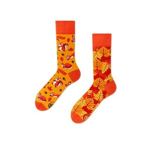 Oranžové ponožky The Squirrels obraz