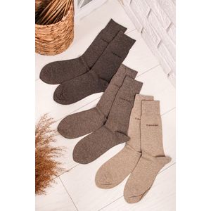 Pánské hnědé ponožky Combed Flat Knit Eric - trojbalení obraz