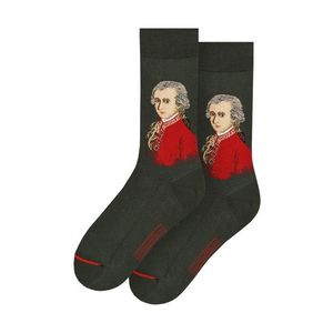 MuseARTa - Ponožky Barbara Krafft - Wolfgang Amadeus Mozart obraz