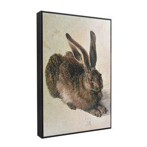 MuseARTa - Dárková krabička Albrecht Dürer - Young Hare obraz