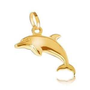 Přívěsek ze žlutého 14K zlata - blyštivý trojrozměrný skákající delfín obraz