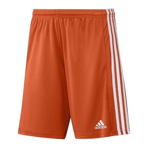 Pánské šortky adidas SQUADRA obraz