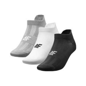 Pánské ponožky 4F - 3 páry obraz