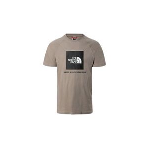 The North Face M Raglan Red Box Tee-L šedé NF0A3BQOVQ8-L obraz