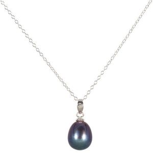 JwL Luxury Pearls Stříbrný náhrdelník s modrou perlou JL0438 (řetízek, přívěsek) 45 cm obraz