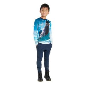 Desigual - Dětská bavlněná košile s dlouhým rukávem obraz