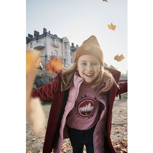 Reima - Dětské tričko s dlouhým rukávem Viluton obraz