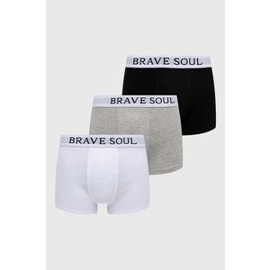 Brave Soul - Boxerky (3 pack) obraz