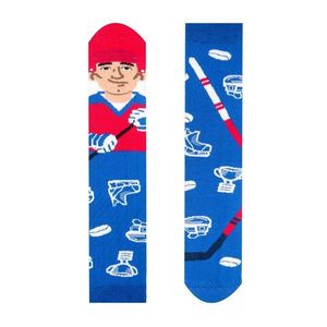 Veselé pánské ponožky Hokejový hráč obraz