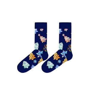 Dámské ponožky JOHN FRANK WJFLSFUN-CH19 UNI Modrá obraz