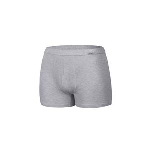 Pánské boxerky 223 Authentic mini grey obraz