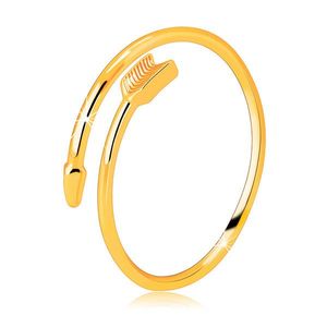 Prsten ze žlutého 14K zlata - zatočený šíp, rozpojená ramena prstenu - Velikost: 49 obraz