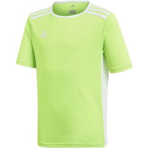 adidas ENTRADA 18 JERSEY Chlapecký fotbalový dres, světle zelená, velikost obraz