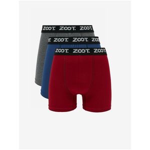 Sada tří pánských boxerek v šedé, modré a červené barvě ZOOT.lab obraz