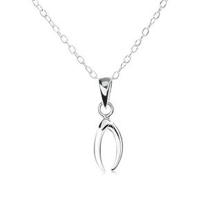 Stříbrný náhrdelník 925, řetízek s oválnými očky, malá podkova obraz