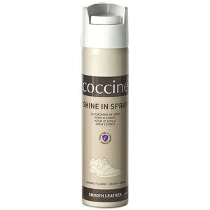 Coccine Shine In Spray 55/501/75/02A obraz