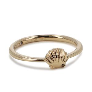 Fossil By The Shore JF04064710 obraz