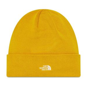 The North Face Norm Beanie NF0A5FW1H9D1 obraz