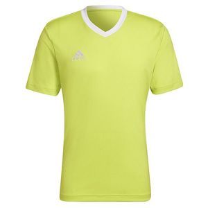 Pánské barevné tričko Adidas obraz