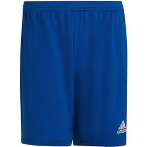 Panské kraťasy Adidas modré obraz