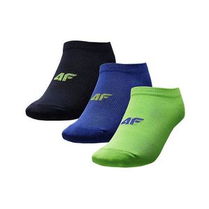 Ponožky pro kluky 4F obraz
