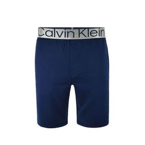 Pánské kraťasy Calvin Klein NM2267 L Modrá obraz