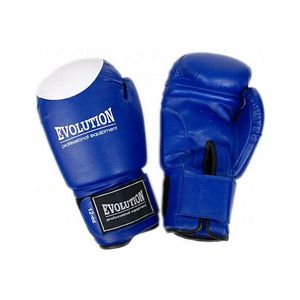 Boxerské rukavice Evolution obraz