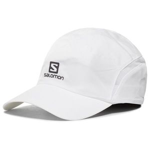 Salomon Xa Cap obraz