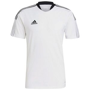 Pánské tréninkové tričko Adidas obraz