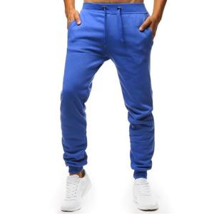 Pánské modrá teplákové kalhoty obraz