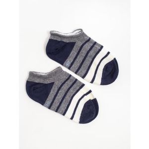 Dámské ponožky pruhované NORMAN šedé tmavě modré obraz