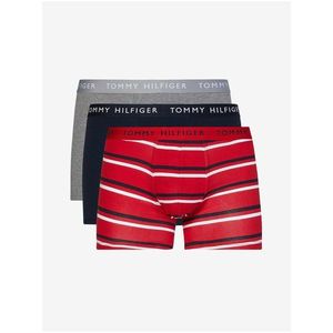 Sada tří pánských boxerek v šedé, modré a červené barvě Tommy Hilfiger Underwear obraz