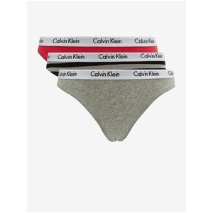 Sada tří dámských kalhotek v šedé a červené barvě Calvin Klein Underwear obraz