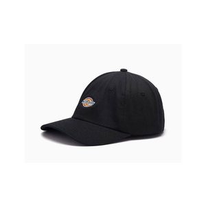 Dickies Hardwick Cap BLK One-size černé DK0A4TKVBLK-One-size obraz