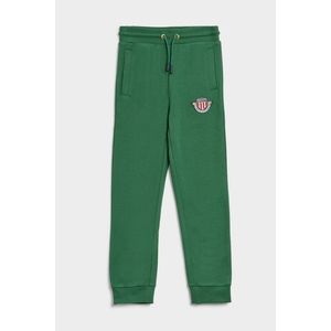 TEPLÁKY GANT D1. BANNER SHIELD SWEAT PANTS FOREST GREEN obraz