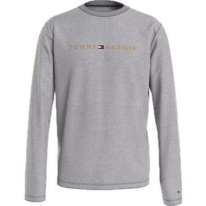 Tommy Hilfiger TOMMY ORIGINAL-CN LS TEE LOGO Pánské triko s dlouhým rukávem, šedá, velikost obraz