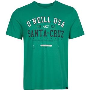 O'Neill MUIR Pánské tričko, zelená, velikost obraz