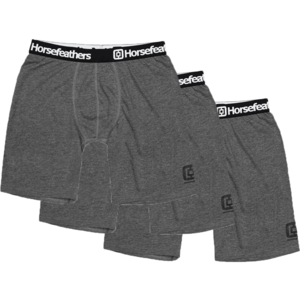 Horsefeathers DYNASTY LONG 3PACK Pánské boxerky, tmavě šedá, velikost obraz