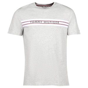 Tommy Hilfiger CLASSIC-CN SS TEE PRINT Pánské tričko, šedá, velikost obraz